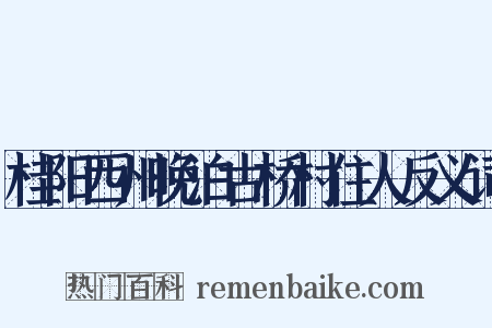 桂阳西州晚泊古桥村住人反义词是什么意思的图片